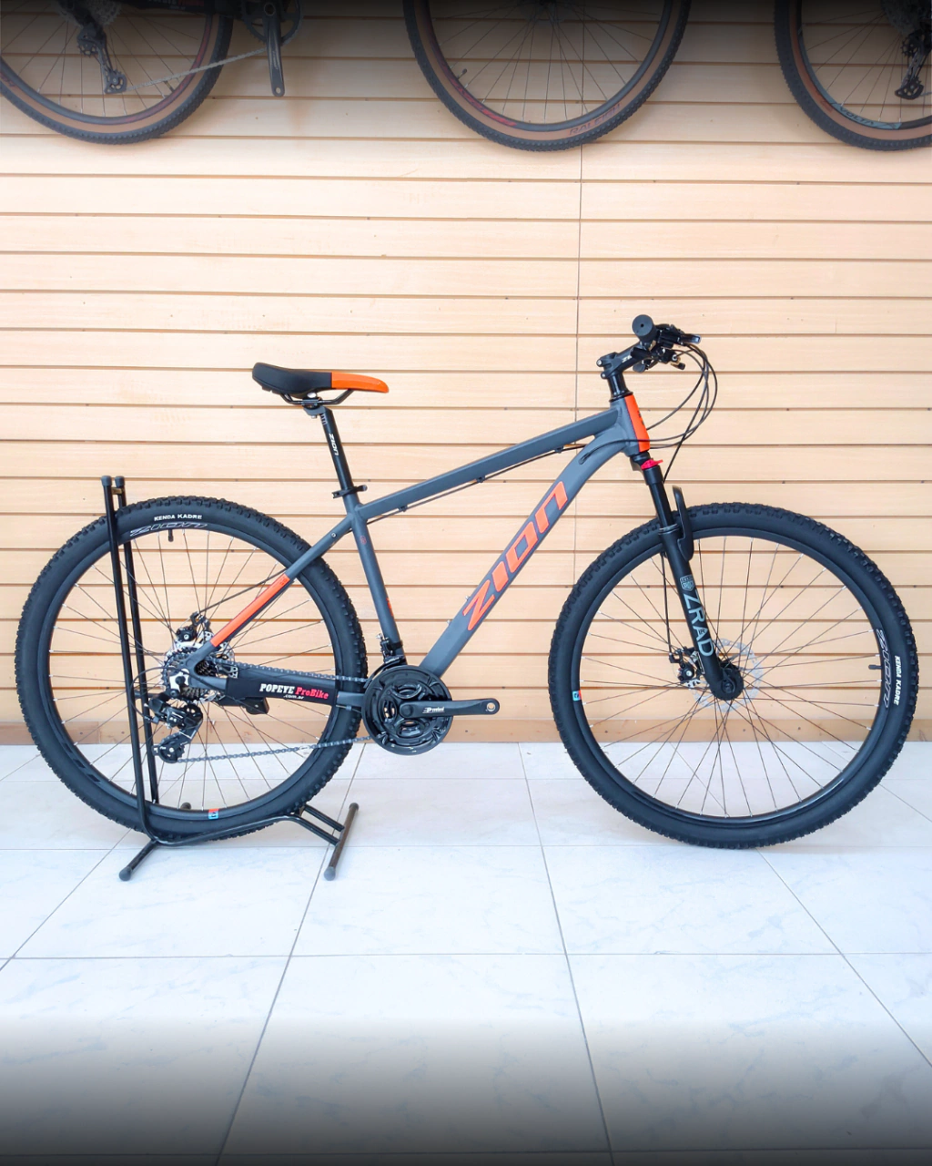 Zion Aspro R29"
