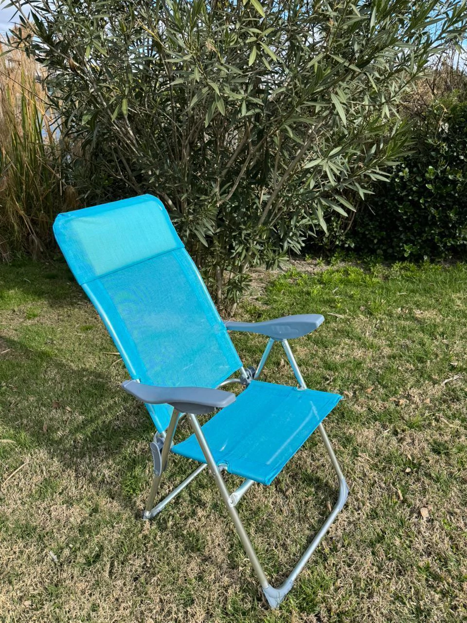 Reposera Aluminio Reclinable
